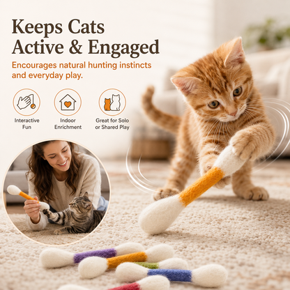 A Monthly Happiness Kit for Your Cat