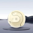 Real-Time AI Translation Earbuds