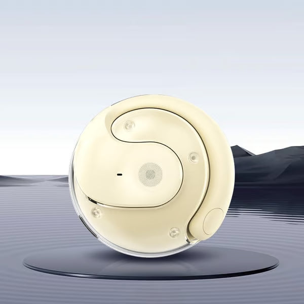 Real-Time AI Translation Earbuds